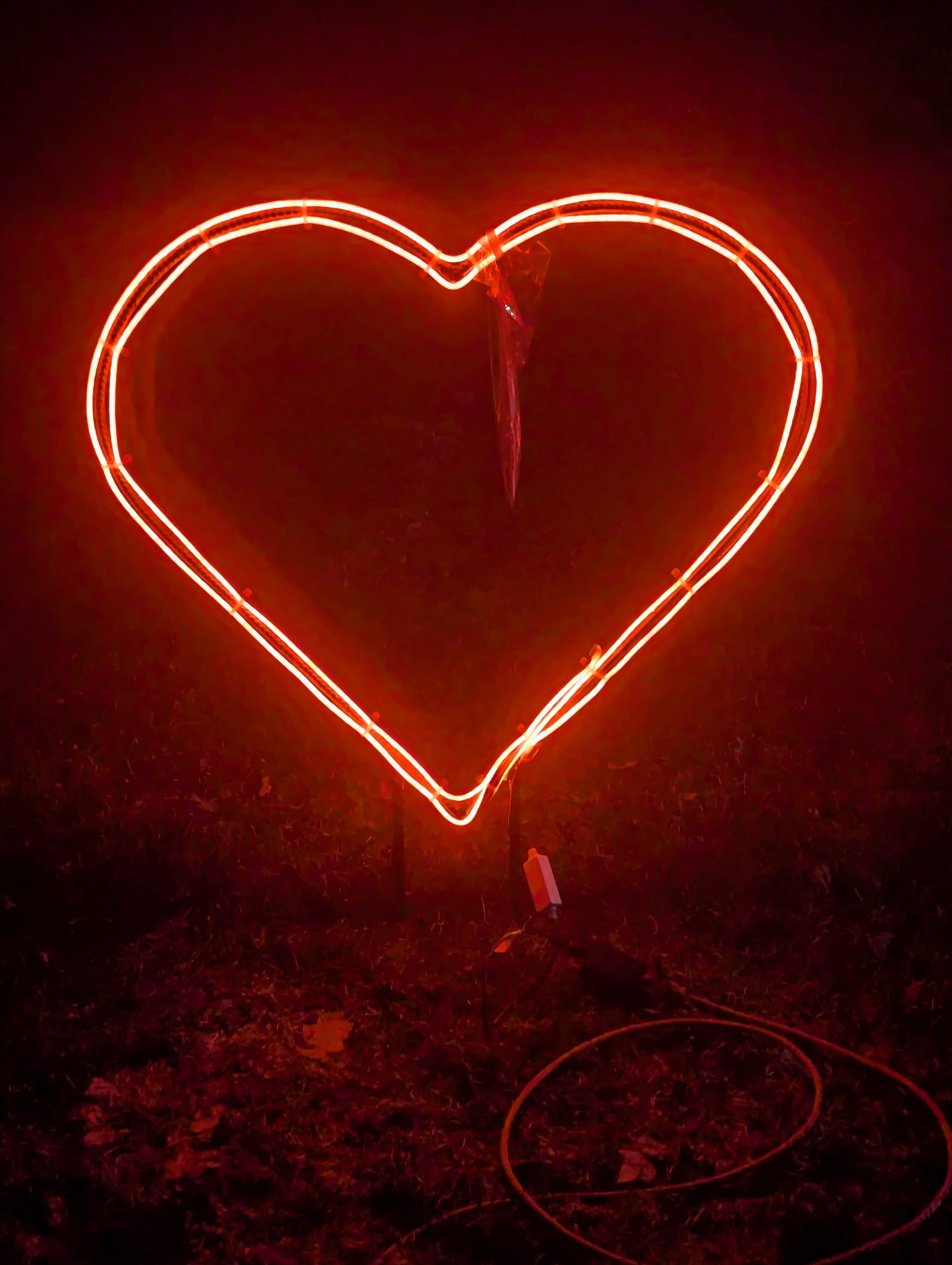 Heart Illuminated